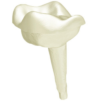 IC Fibres de verre